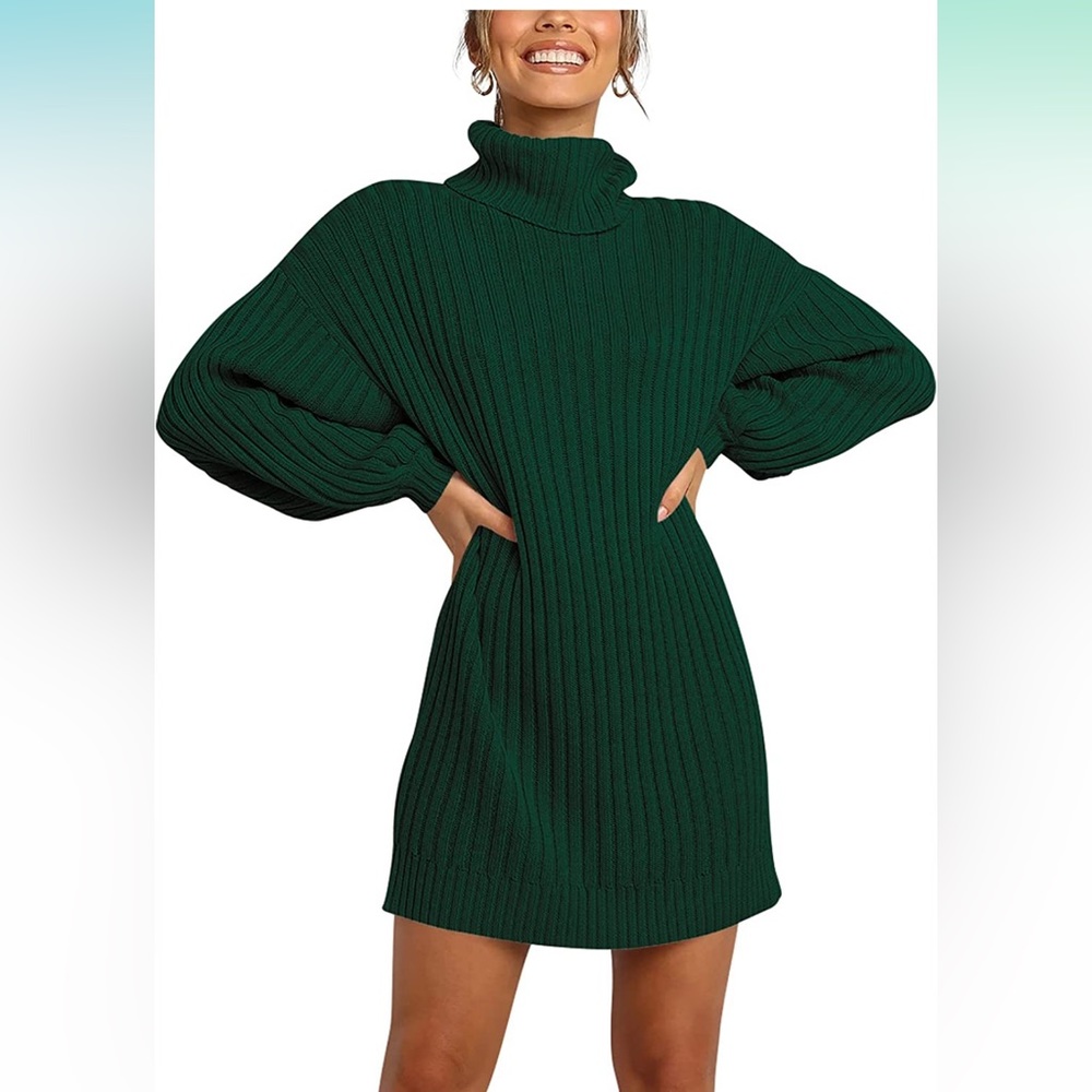 Women Turtleneck Long Lantern Sleeve